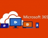 Microsoft - Microsoft 365 Apps 1Y subscription